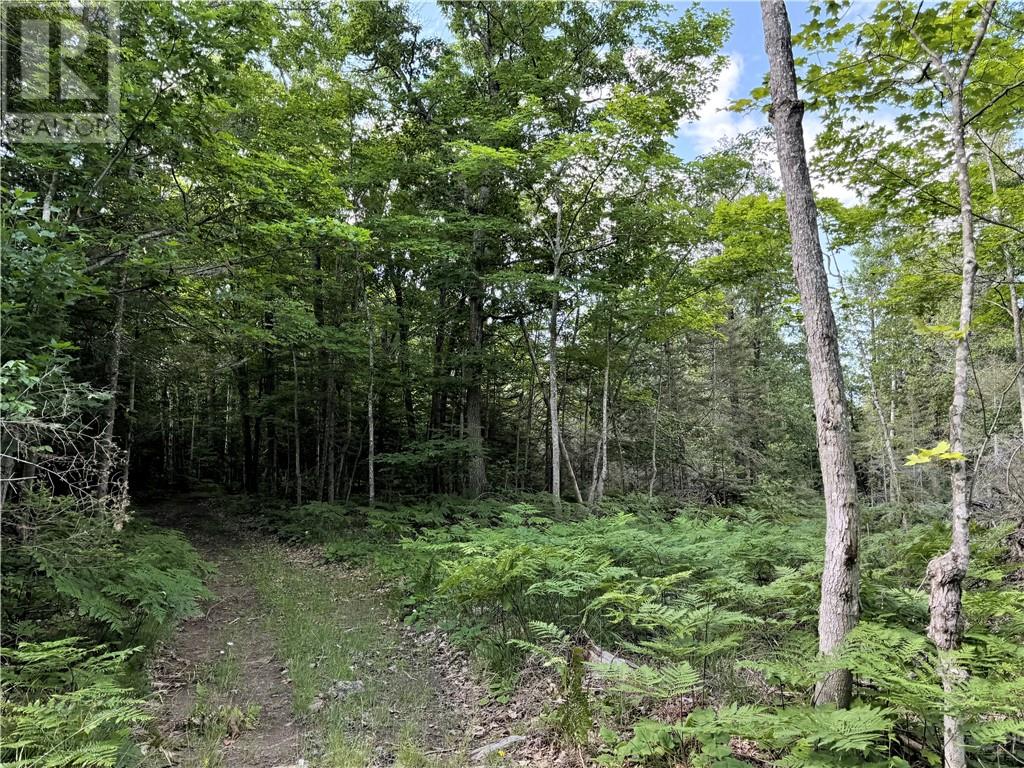 90 Clarke Rd, Gore Bay, Ontario  P0P 1H0 - Photo 40 - 2129117