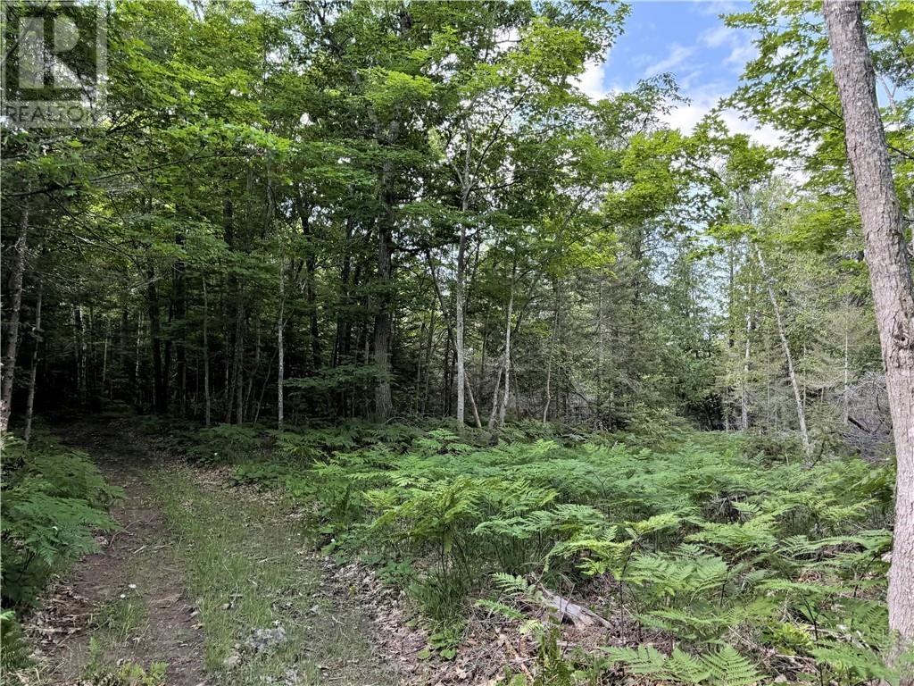 90 Clarke Rd, Gore Bay, Ontario  P0P 1H0 - Photo 41 - 2129117