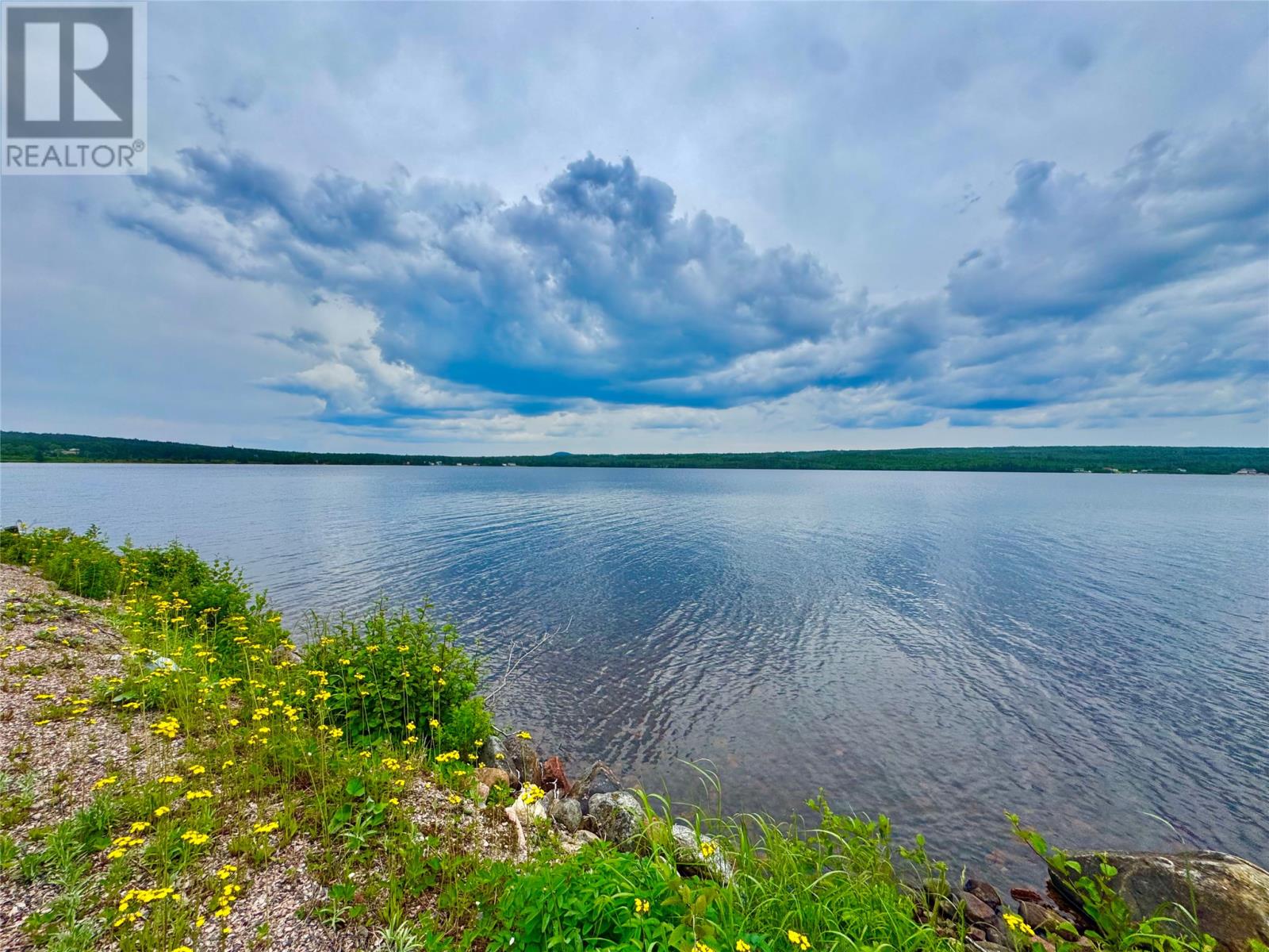 00 Joe Glode Pond, Millertown Junction, Newfoundland & Labrador A0H 1A0 - Photo 15 - 1300249