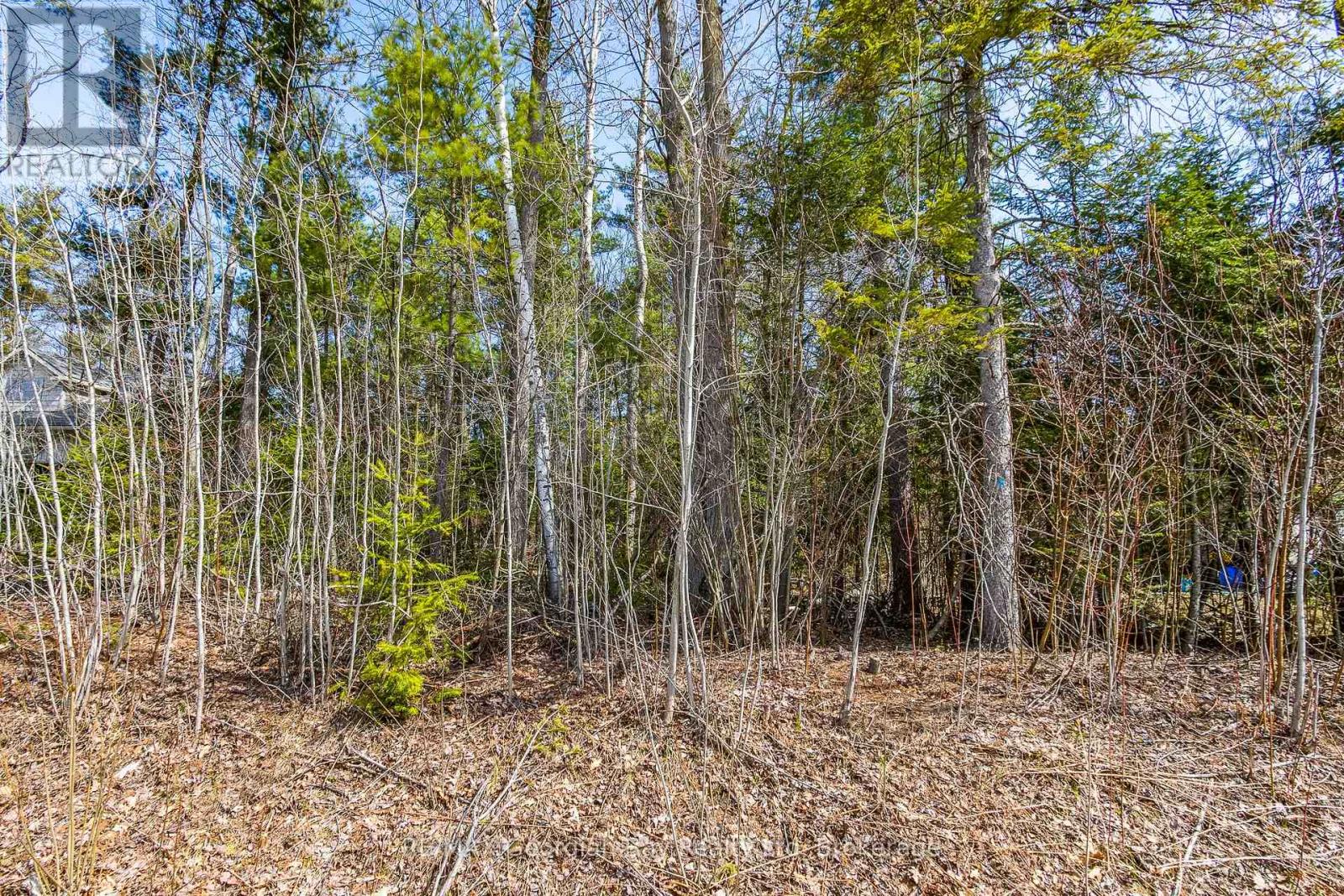 Lot 102 Emilio Street, Tiny, Ontario  L0L 2T0 - Photo 3 - S13575644