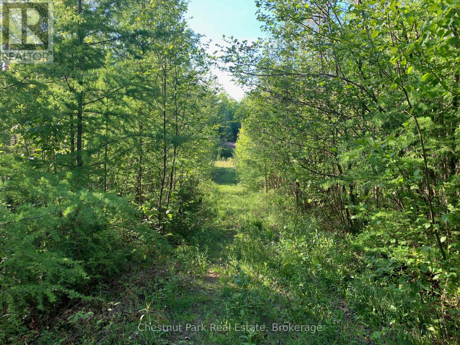310 Super Sign Road, Perry, Ontario  P0A 1J0 - Photo 5 - X13575752