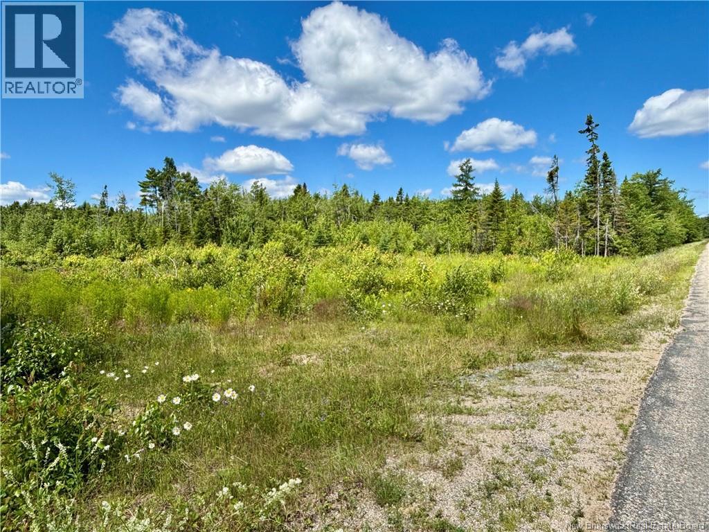 2.24 Acres Mcleod Street, Neguac, New Brunswick  E9G 0B5 - Photo 1 - NB144210