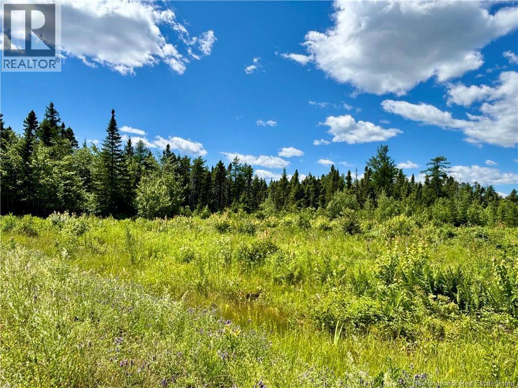 2.24 Acres Mcleod Street, Neguac, New Brunswick  E9G 0B5 - Photo 4 - NB144210