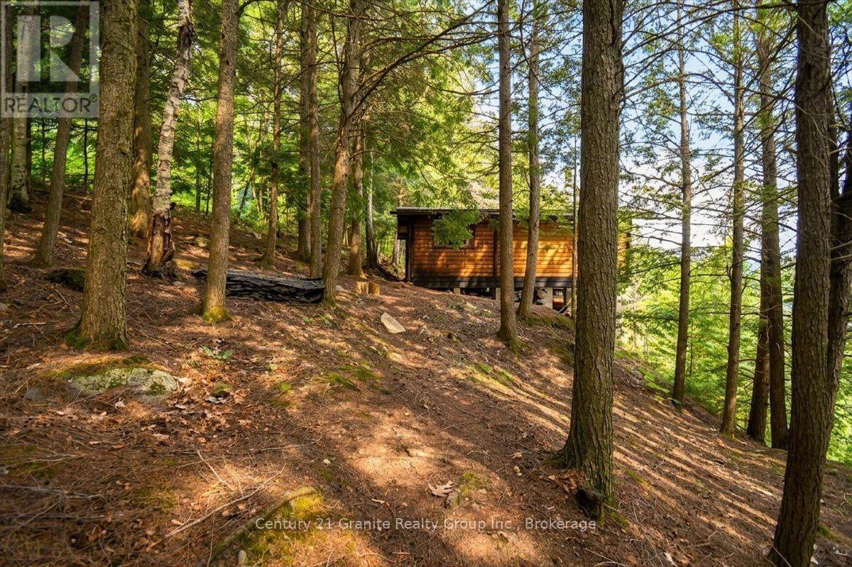 20733 Upper Paudash Road, Highlands East, Ontario  K0L 1C0 - Photo 11 - X13576190