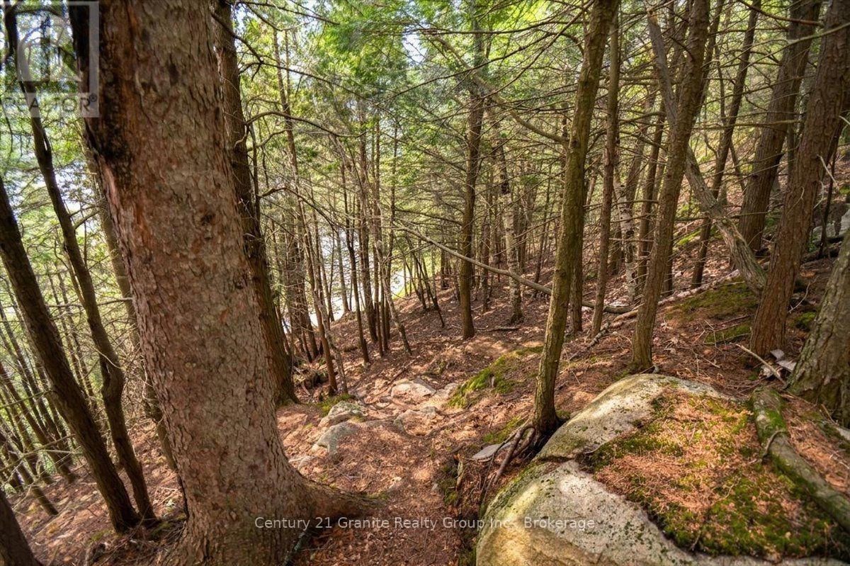 20733 Upper Paudash Road, Highlands East, Ontario  K0L 1C0 - Photo 37 - X13576190