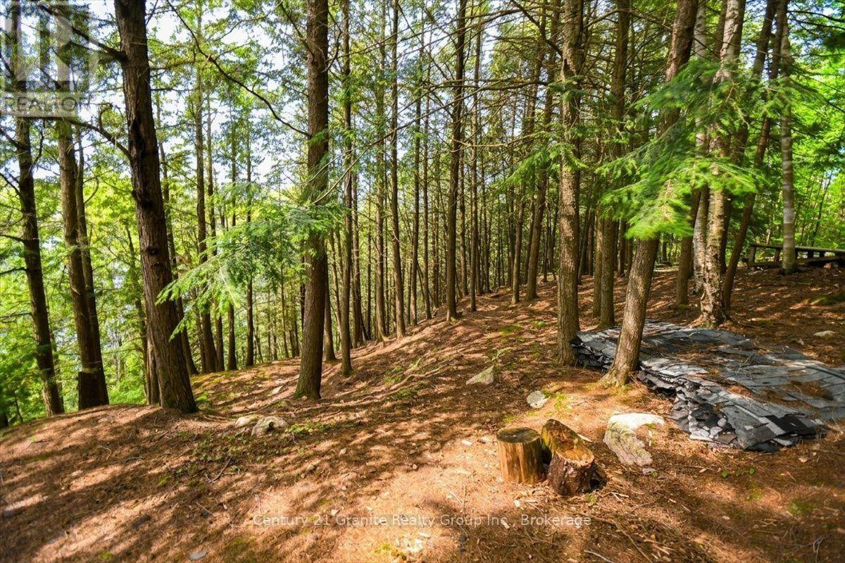 20733 Upper Paudash Road, Highlands East, Ontario  K0L 1C0 - Photo 38 - X13576190