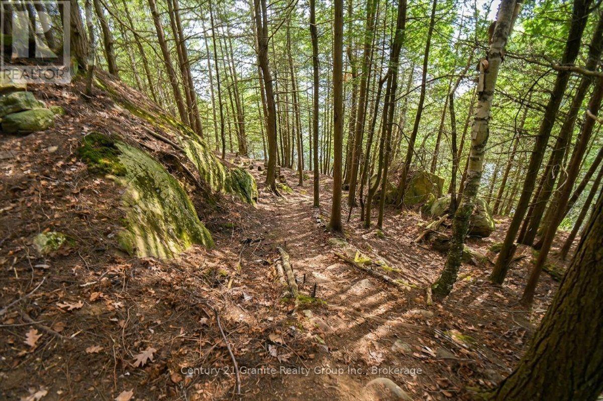 20733 Upper Paudash Road, Highlands East, Ontario  K0L 1C0 - Photo 39 - X13576190