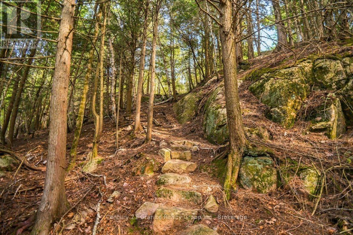 20733 Upper Paudash Road, Highlands East, Ontario  K0L 1C0 - Photo 40 - X13576190
