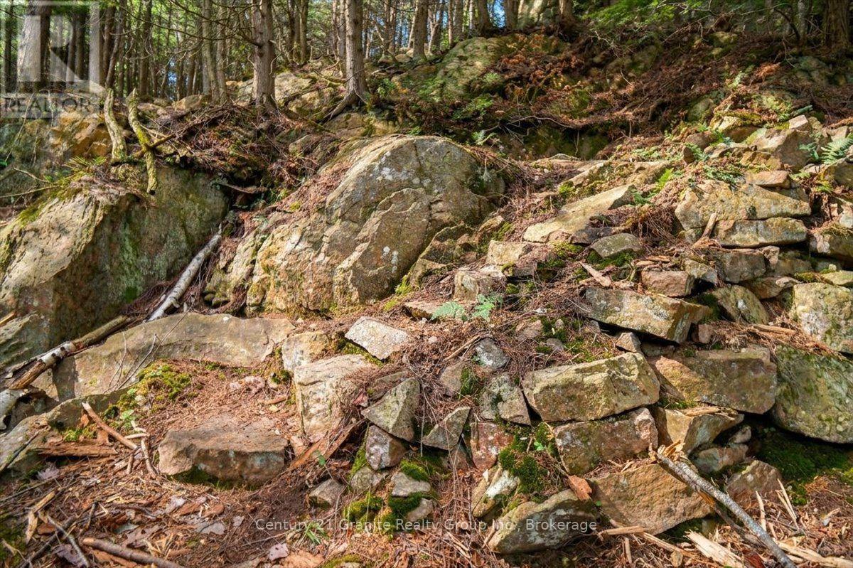 20733 Upper Paudash Road, Highlands East, Ontario  K0L 1C0 - Photo 41 - X13576190