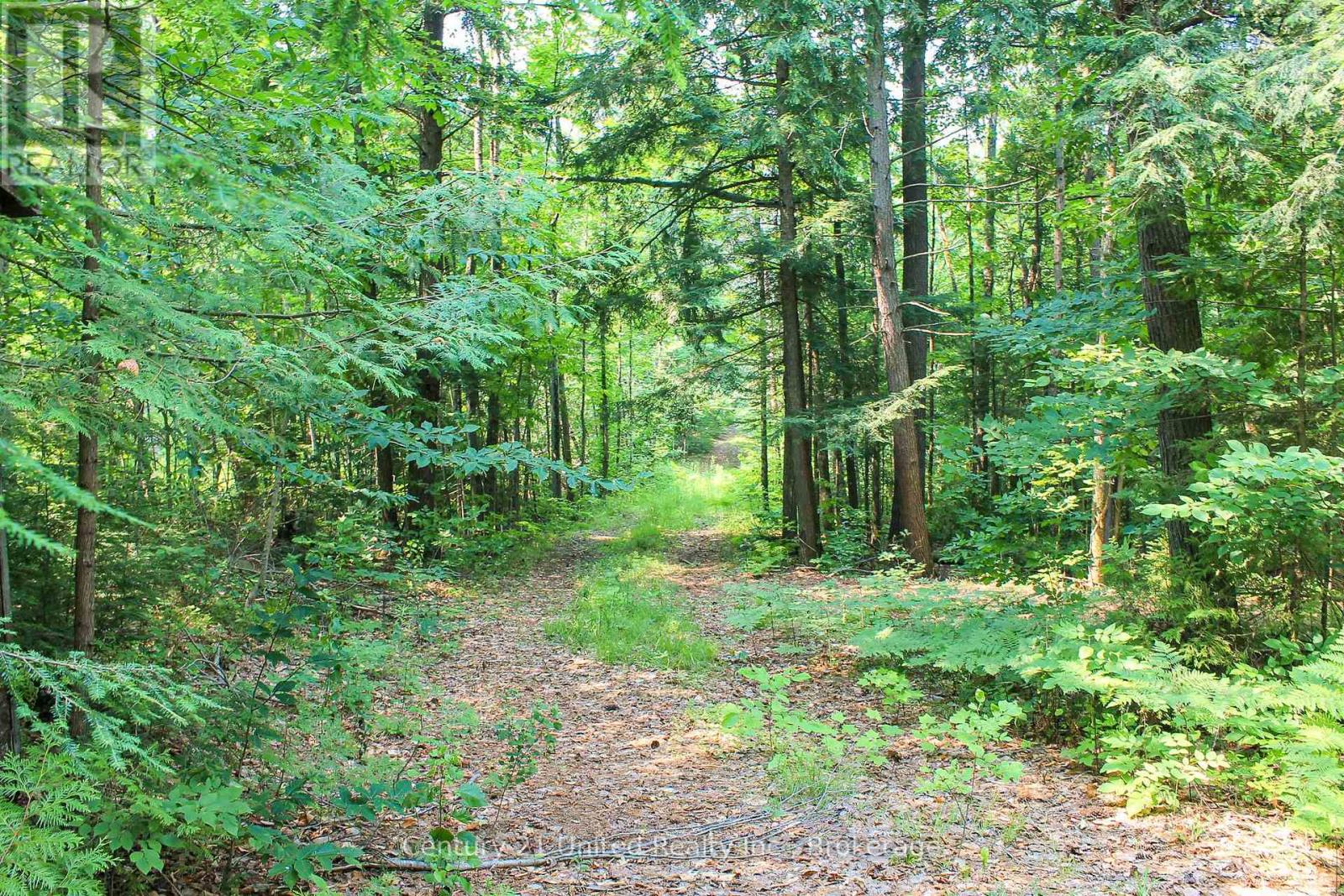 00 Mckee Avenue, Trent Lakes, Ontario K0L 1J0 - Photo 12 - X13576260