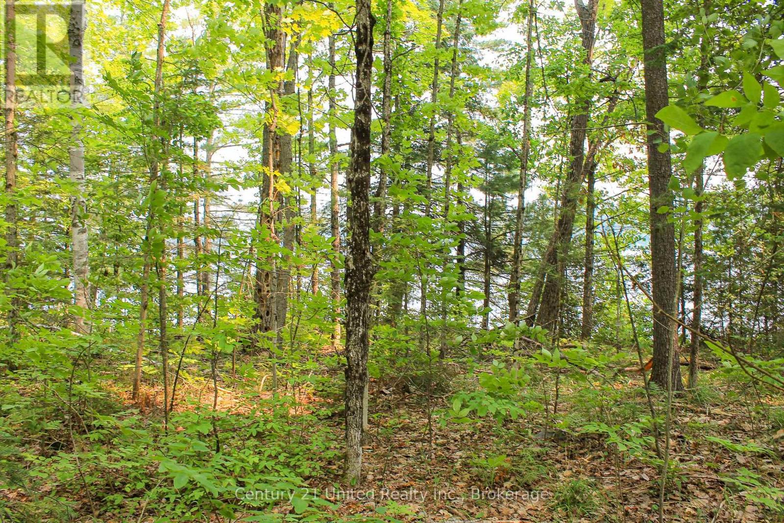 00 Mckee Avenue, Trent Lakes, Ontario K0L 1J0 - Photo 13 - X13576260