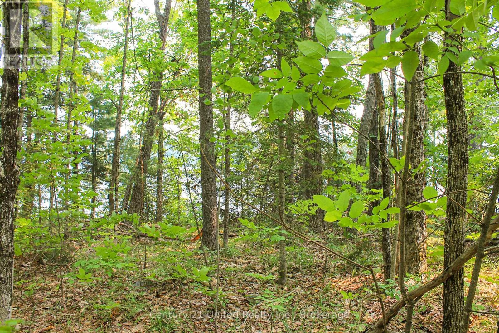 00 Mckee Avenue, Trent Lakes, Ontario K0L 1J0 - Photo 15 - X13576260