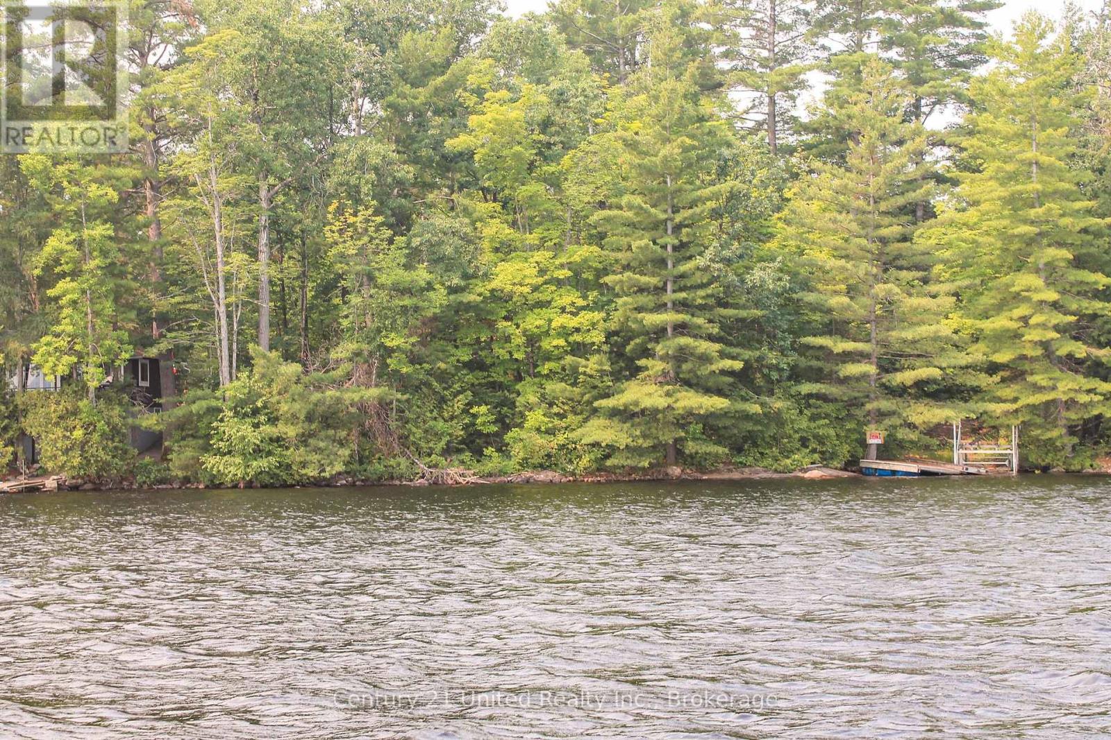 00 Mckee Avenue, Trent Lakes, Ontario K0L 1J0 - Photo 4 - X13576260