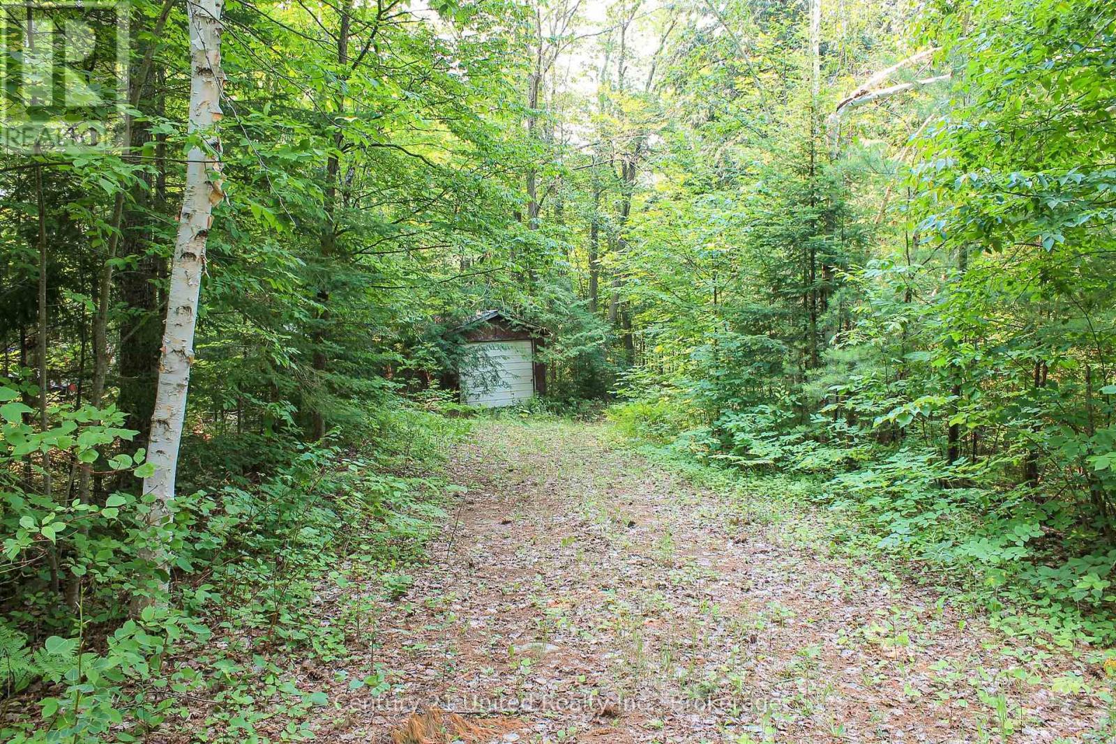 00 Mckee Avenue, Trent Lakes, Ontario K0L 1J0 - Photo 5 - X13576260