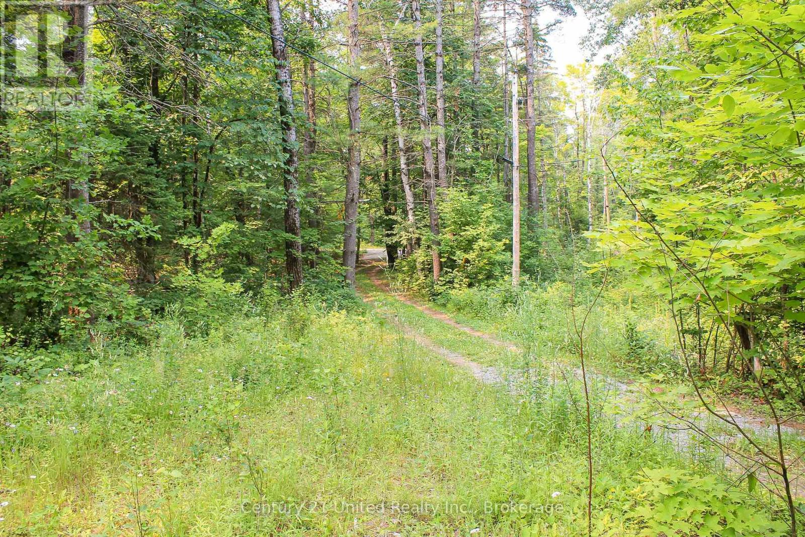 00 Mckee Avenue, Trent Lakes, Ontario K0L 1J0 - Photo 6 - X13576260