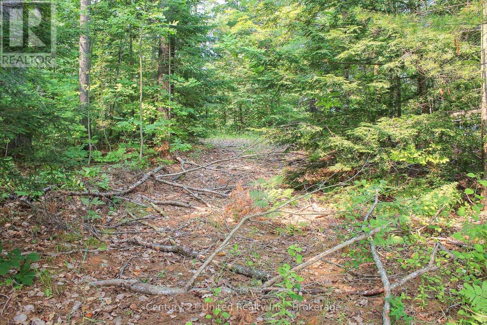 00 Mckee Avenue, Trent Lakes, Ontario K0L 1J0 - Photo 7 - X13576260