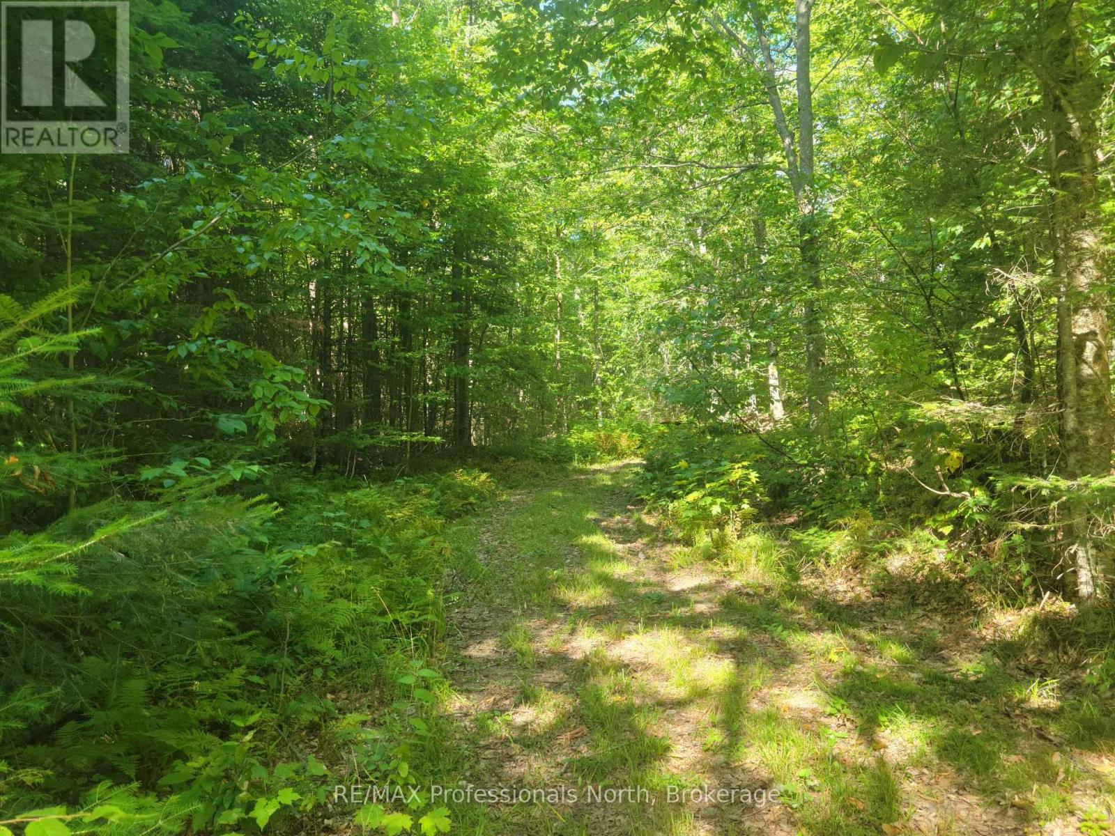 364 Forestry Tower Road, Kearney, Ontario  P0A 1M0 - Photo 32 - X13576232