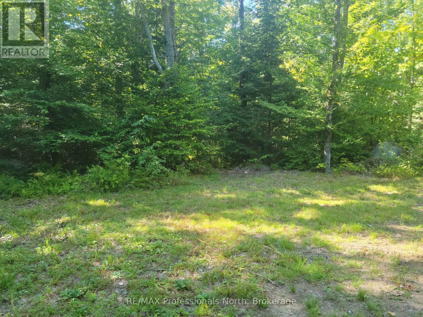 364 Forestry Tower Road, Kearney, Ontario  P0A 1M0 - Photo 34 - X13576232