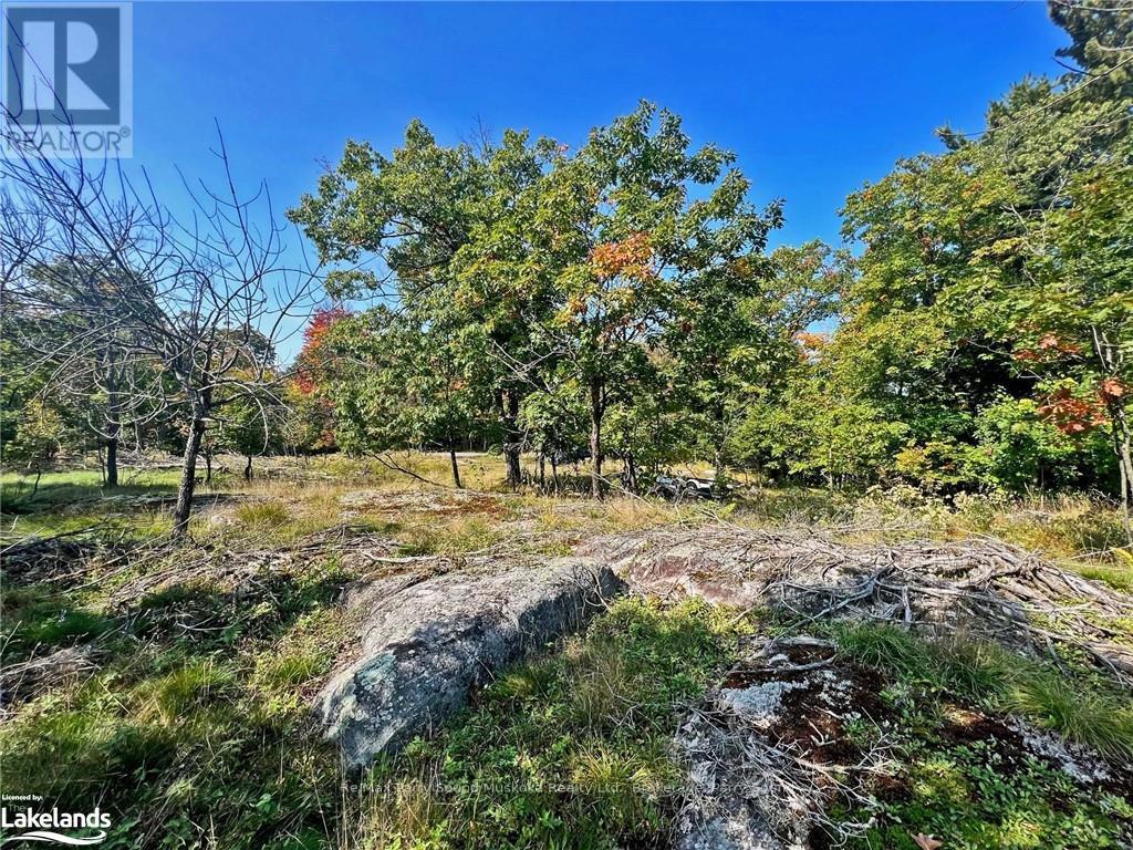112 Bayview Drive, Carling, Ontario  P0G 1G0 - Photo 6 - X13576240