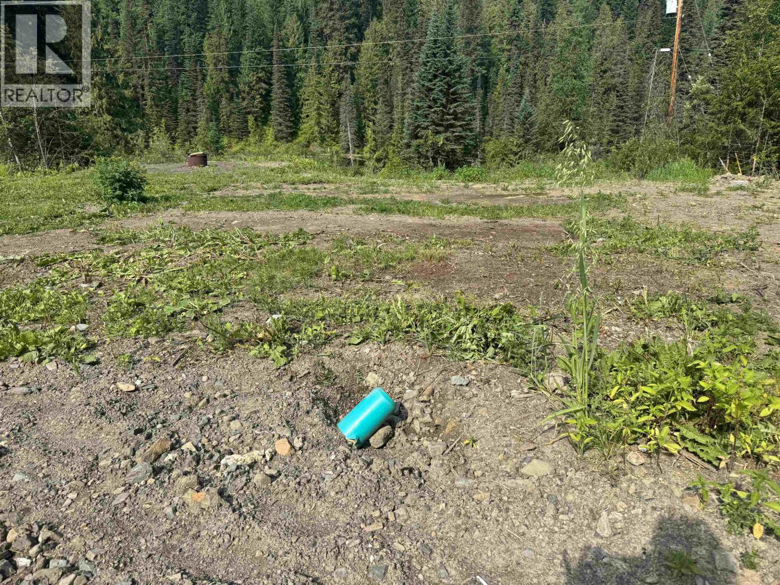 6390 Keithley Creek Road, Likely, British Columbia  V0L 1N0 - Photo 12 - R3147391