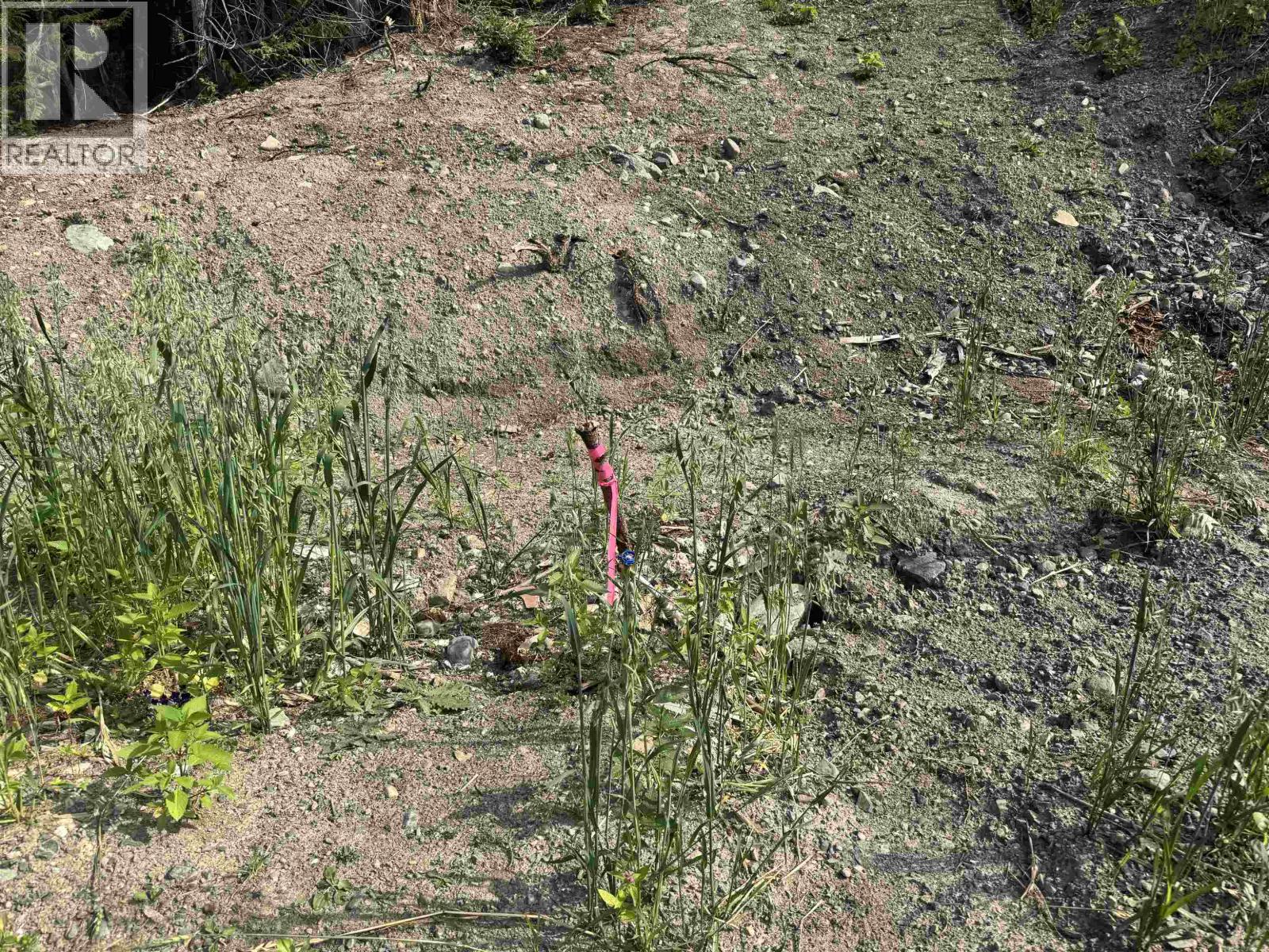 6390 Keithley Creek Road, Likely, British Columbia  V0L 1N0 - Photo 14 - R3147391
