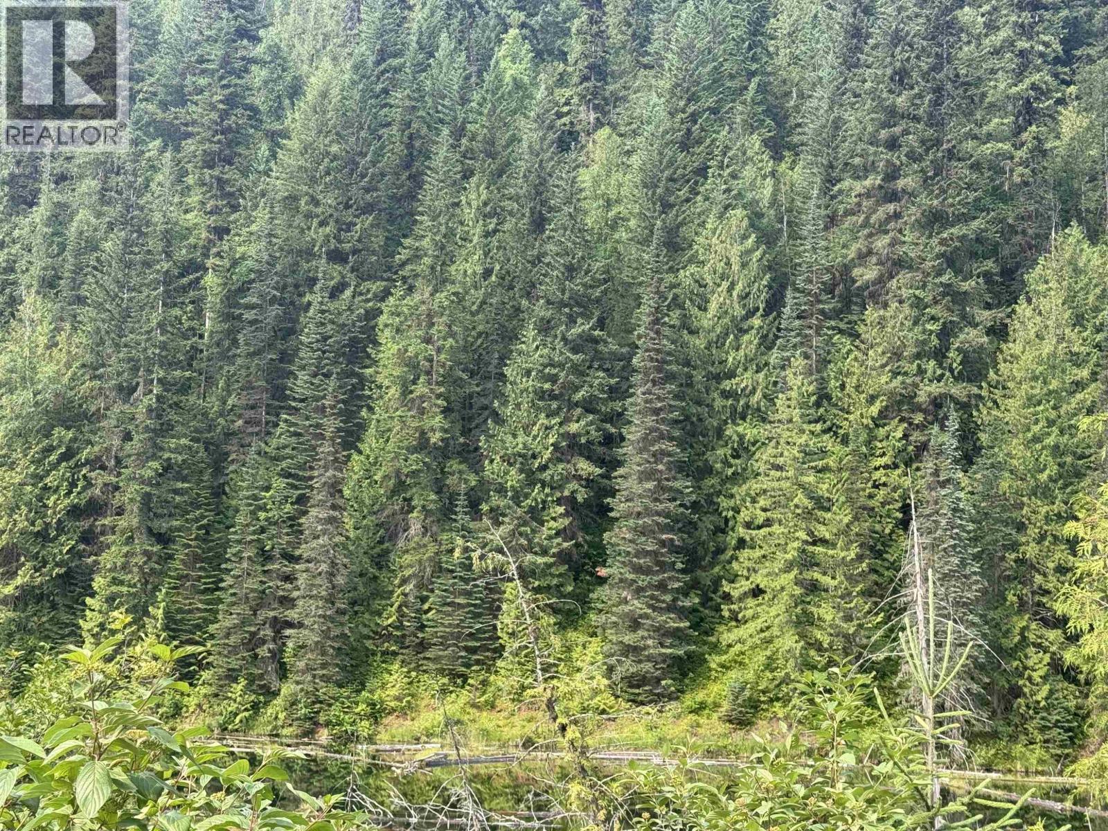 6390 Keithley Creek Road, Likely, British Columbia  V0L 1N0 - Photo 18 - R3147391