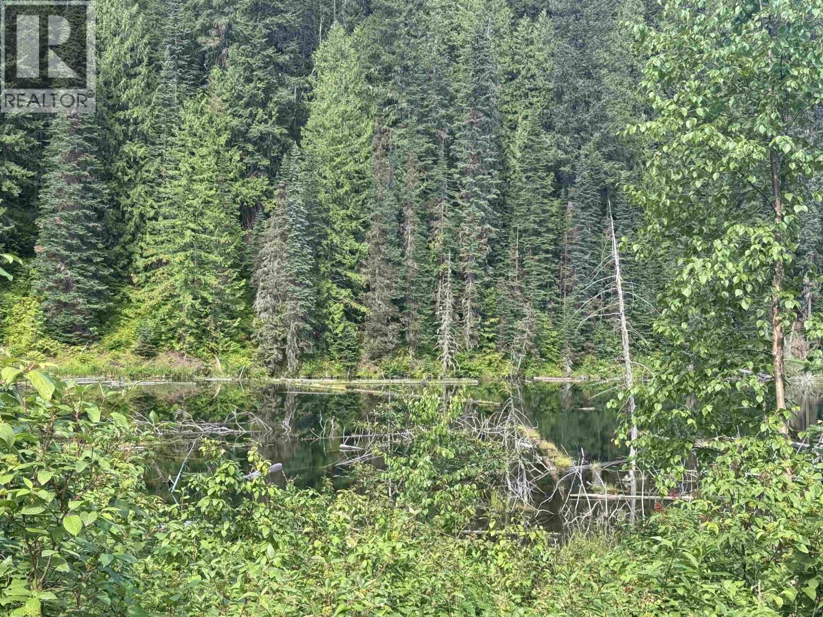 6390 Keithley Creek Road, Likely, British Columbia  V0L 1N0 - Photo 8 - R3147391