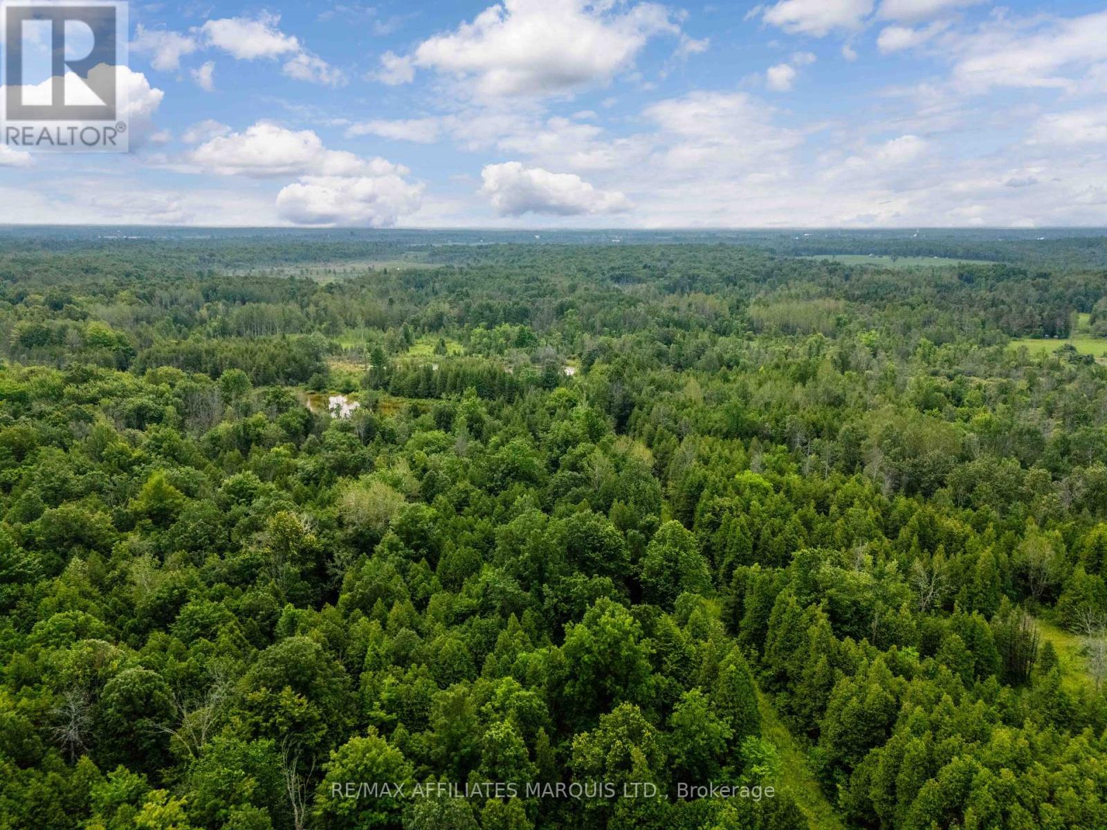 17588 Mcphail Road, South Stormont, Ontario K0C 2A0 - Photo 7 - X13576326