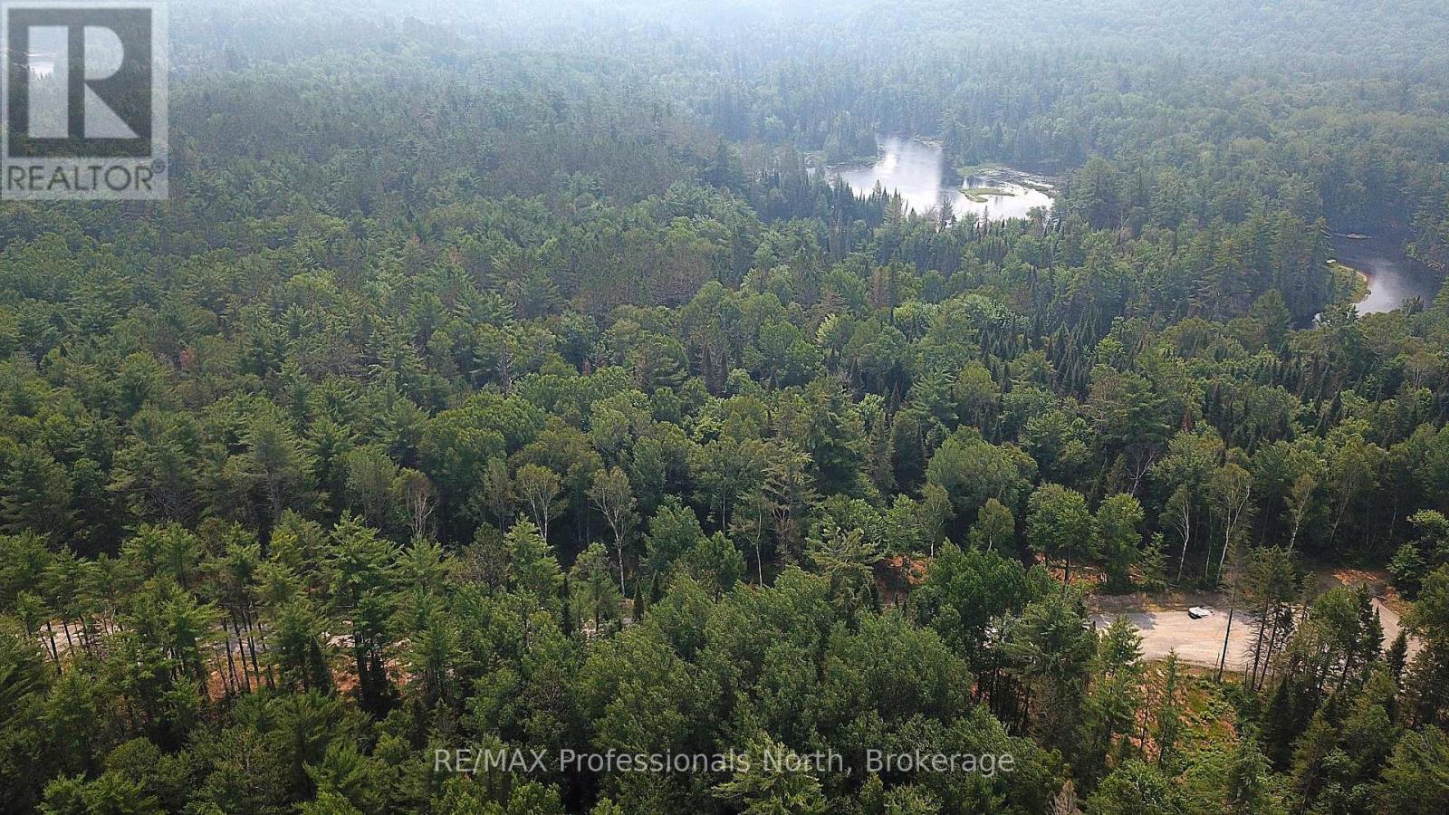 01 Sale Road, Lake Of Bays, Ontario P0A 1H0 - Photo 10 - X13576540