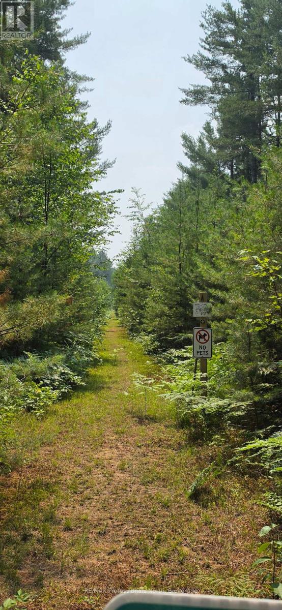 01 Sale Road, Lake Of Bays, Ontario P0A 1H0 - Photo 12 - X13576540