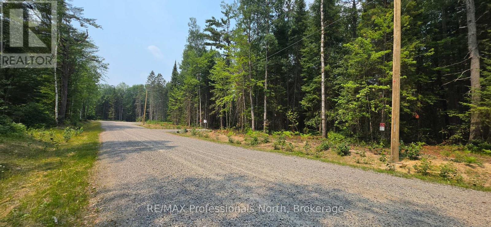 01 Sale Road, Lake Of Bays, Ontario P0A 1H0 - Photo 2 - X13576540