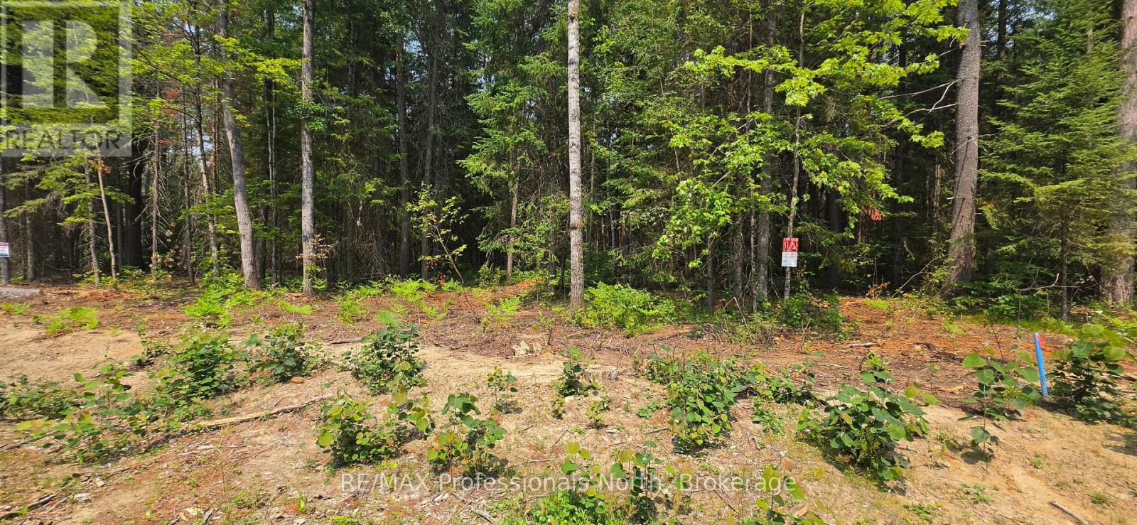 01 Sale Road, Lake Of Bays, Ontario P0A 1H0 - Photo 4 - X13576540