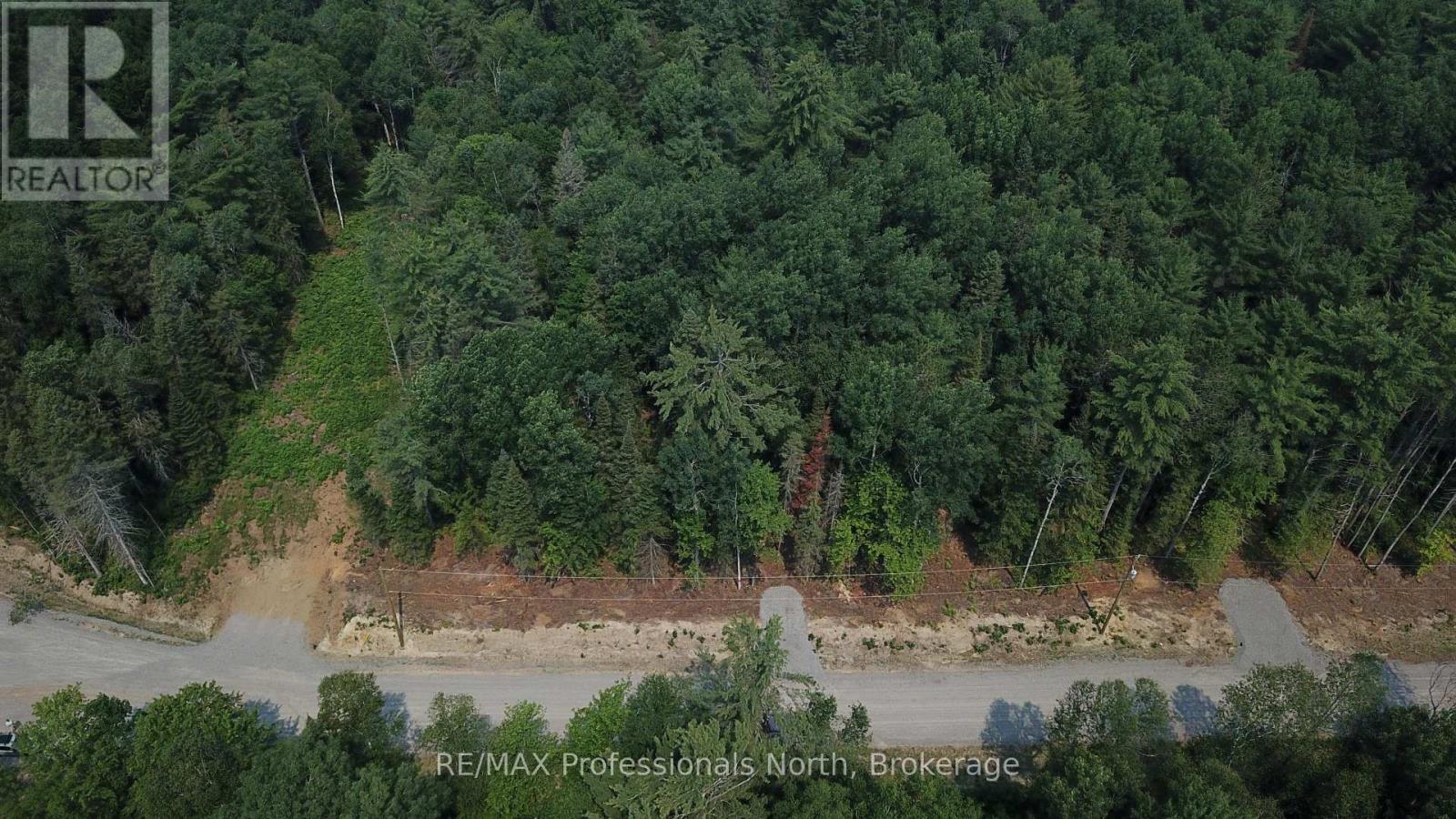 01 Sale Road, Lake Of Bays, Ontario P0A 1H0 - Photo 7 - X13576540