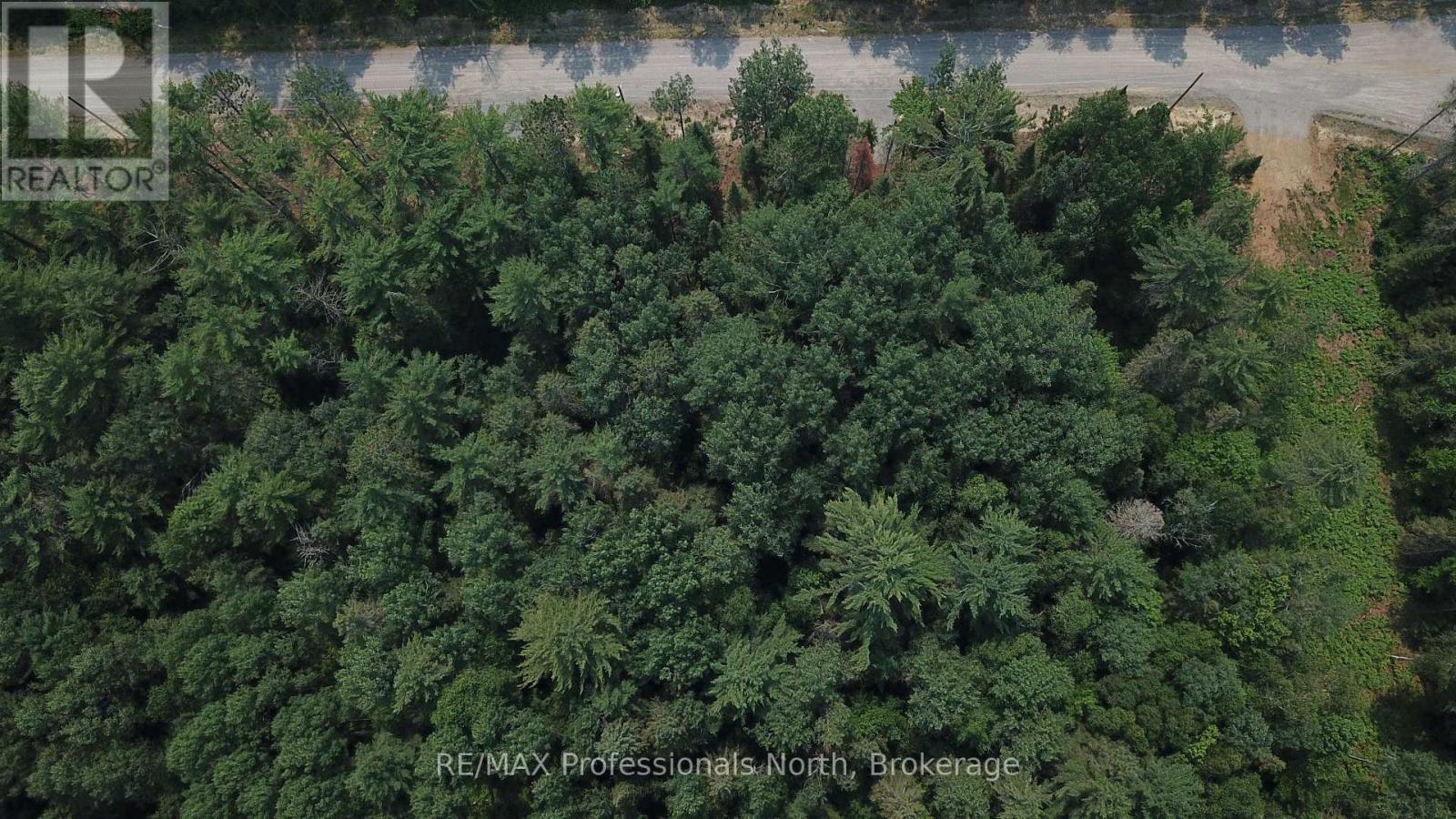01 Sale Road, Lake Of Bays, Ontario P0A 1H0 - Photo 8 - X13576540