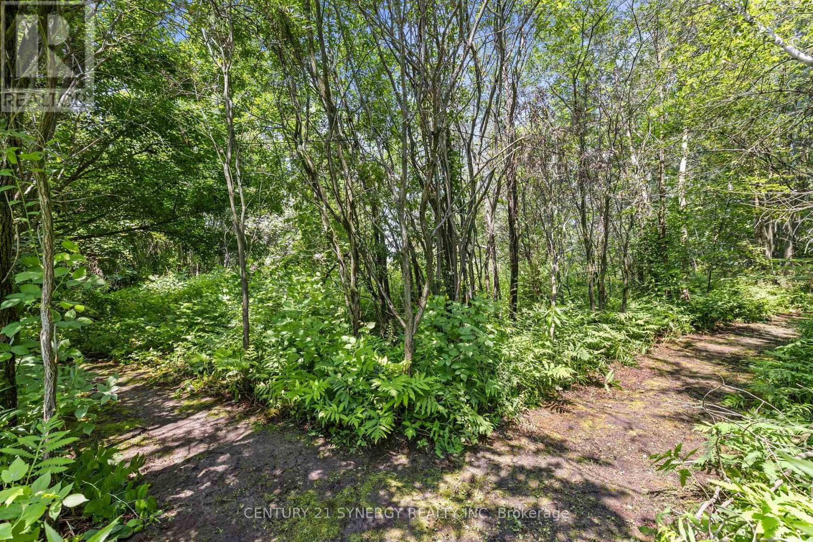 2282 Roxborough Kenyon Boundary Road, North Stormont, Ontario  K0C 1T0 - Photo 37 - X13576460
