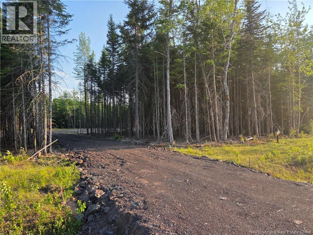 22-107 Paris, Irishtown, New Brunswick  E1A 0H3 - Photo 1 - NB144243