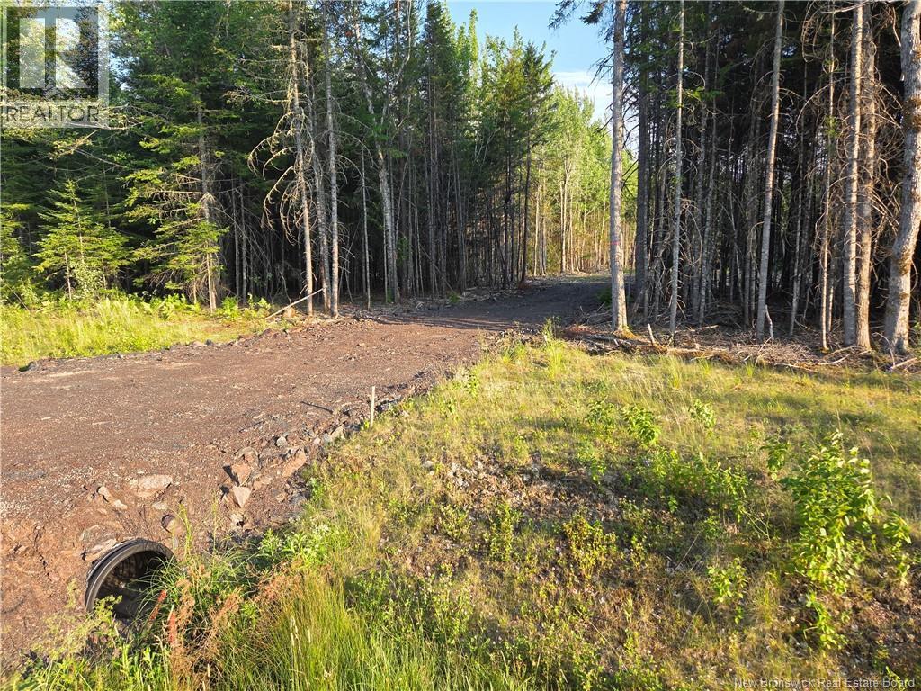 22-107 Paris, Irishtown, New Brunswick  E1A 0H3 - Photo 2 - NB144243