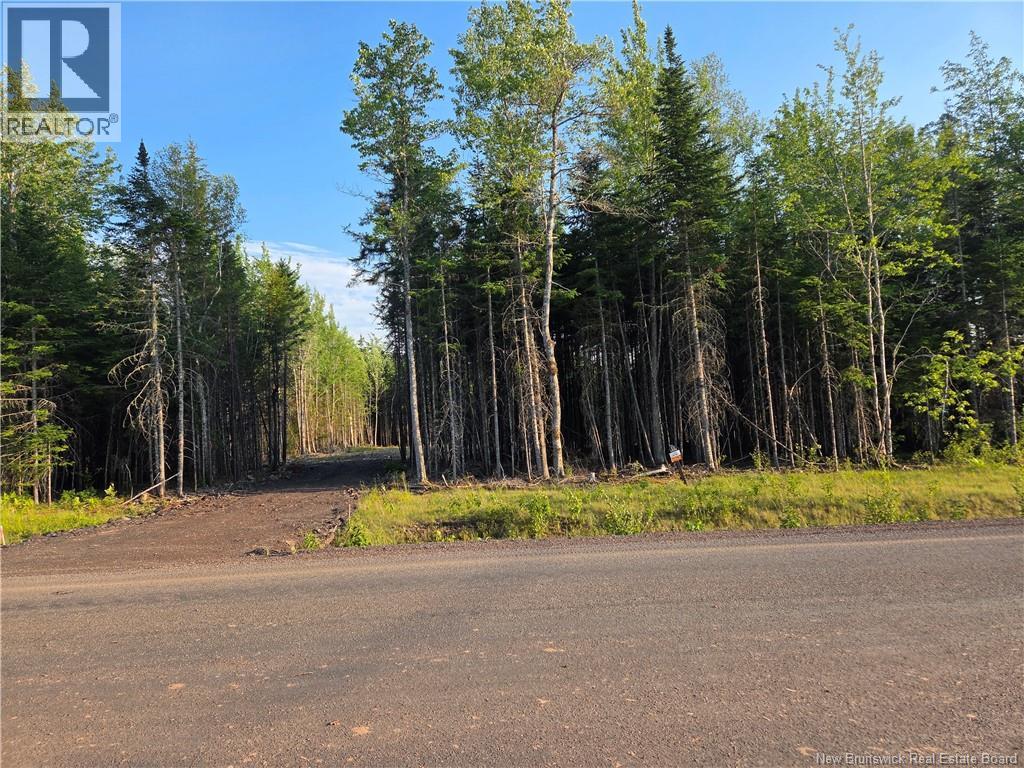 22-107 Paris, Irishtown, New Brunswick  E1A 0H3 - Photo 3 - NB144243