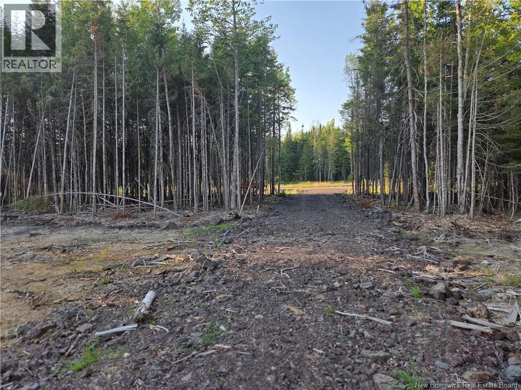 22-107 Paris, Irishtown, New Brunswick  E1A 0H3 - Photo 5 - NB144243