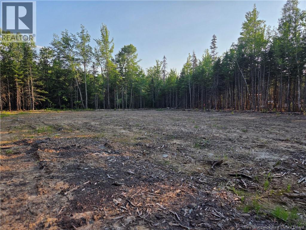 22-107 Paris, Irishtown, New Brunswick  E1A 0H3 - Photo 6 - NB144243