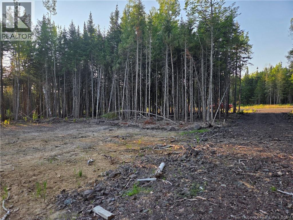 22-107 Paris, Irishtown, New Brunswick  E1A 0H3 - Photo 7 - NB144243
