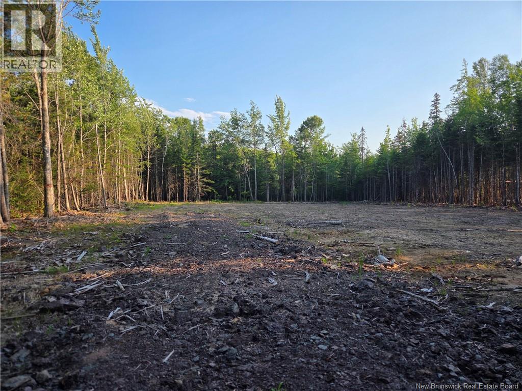 22-107 Paris, Irishtown, New Brunswick  E1A 0H3 - Photo 8 - NB144243
