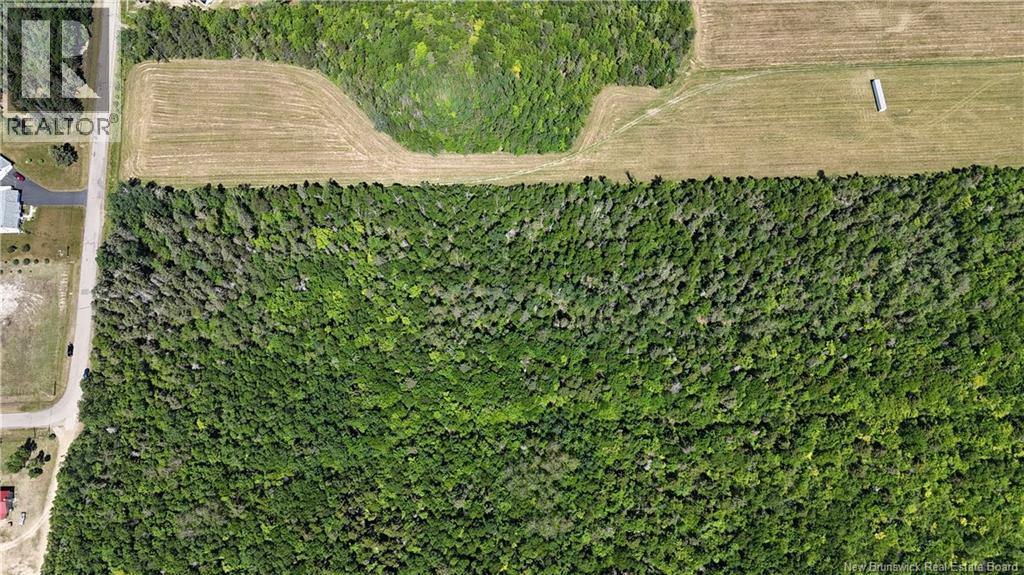 9.7 Acres Rue Johnny, Tracadie, New Brunswick  E1X 2B4 - Photo 6 - NB144238