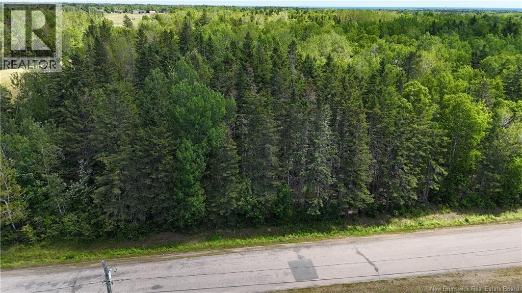 9.7 Acres Rue Johnny, Tracadie, New Brunswick  E1X 2B4 - Photo 7 - NB144238