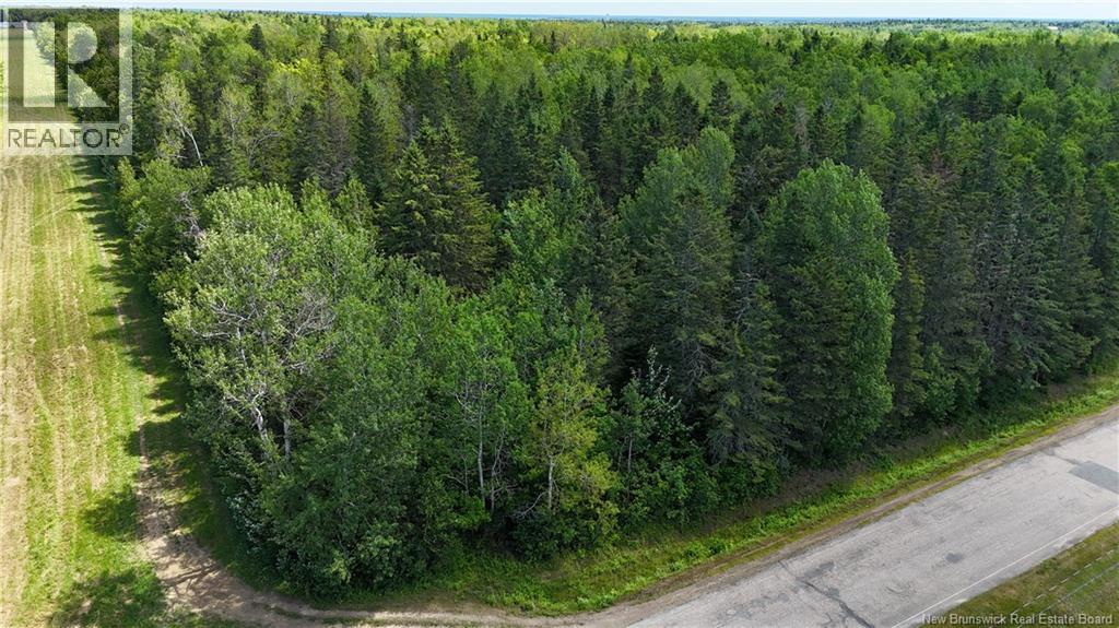 9.7 Acres Rue Johnny, Tracadie, New Brunswick  E1X 2B4 - Photo 8 - NB144238