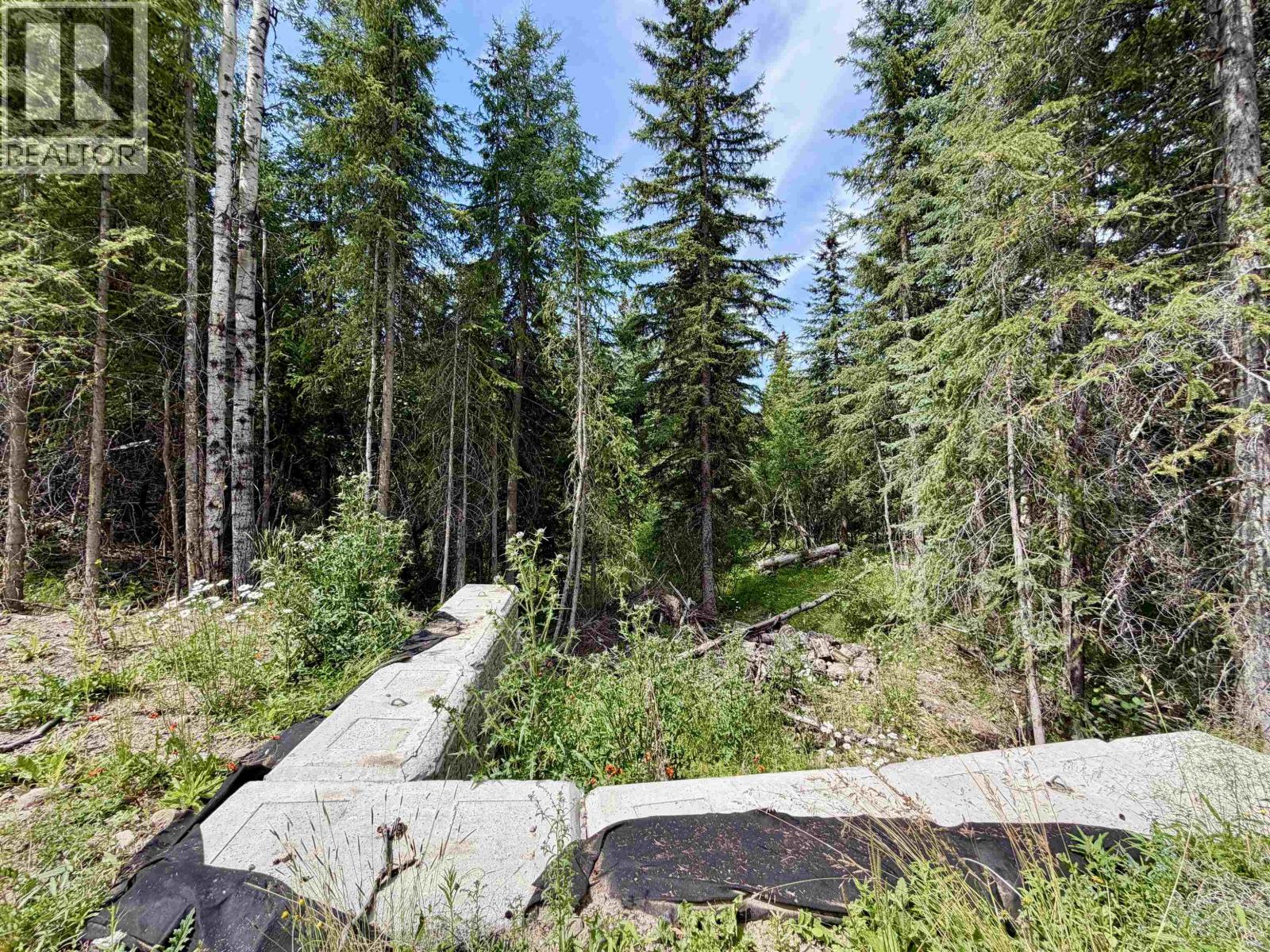 Lot 48 Sangster Road, Deka Lake / Sulphurous / Hathaway Lakes, British Columbia  V0K 1X3 - Photo 11 - R3147394