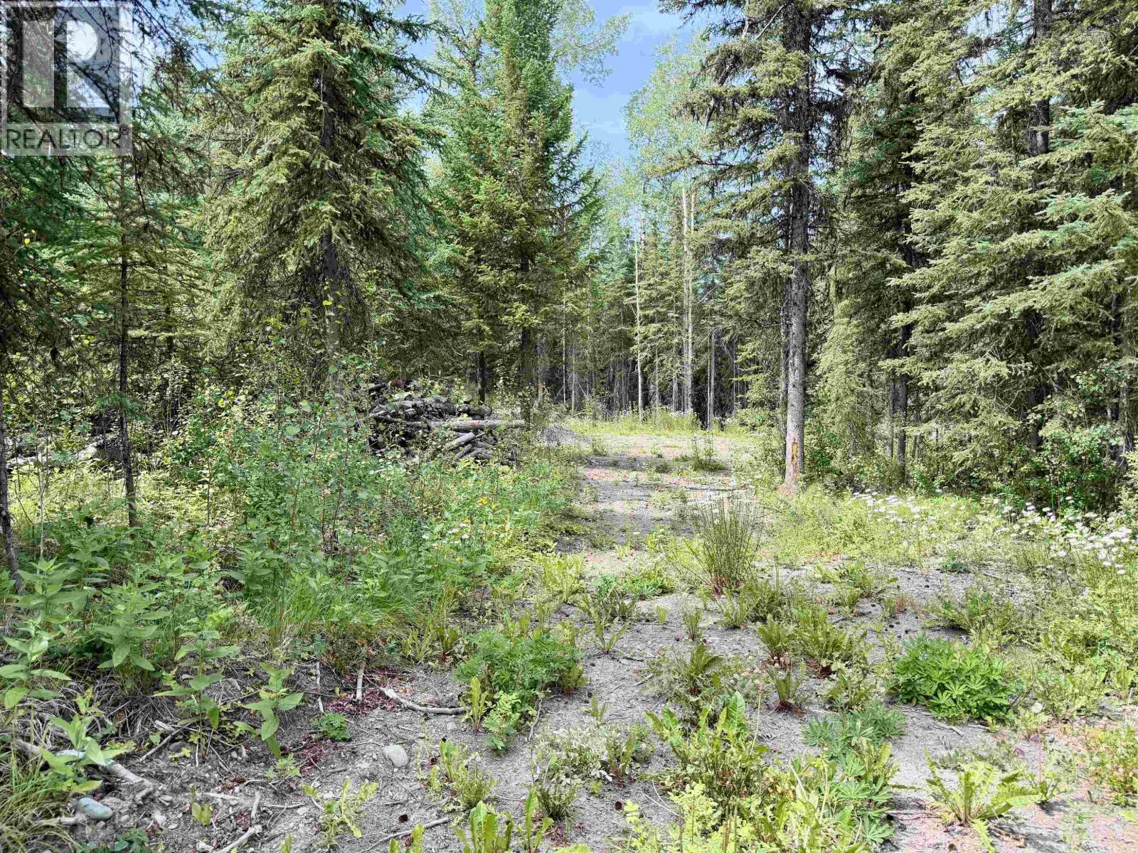 Lot 48 Sangster Road, Deka Lake / Sulphurous / Hathaway Lakes, British Columbia  V0K 1X3 - Photo 12 - R3147394
