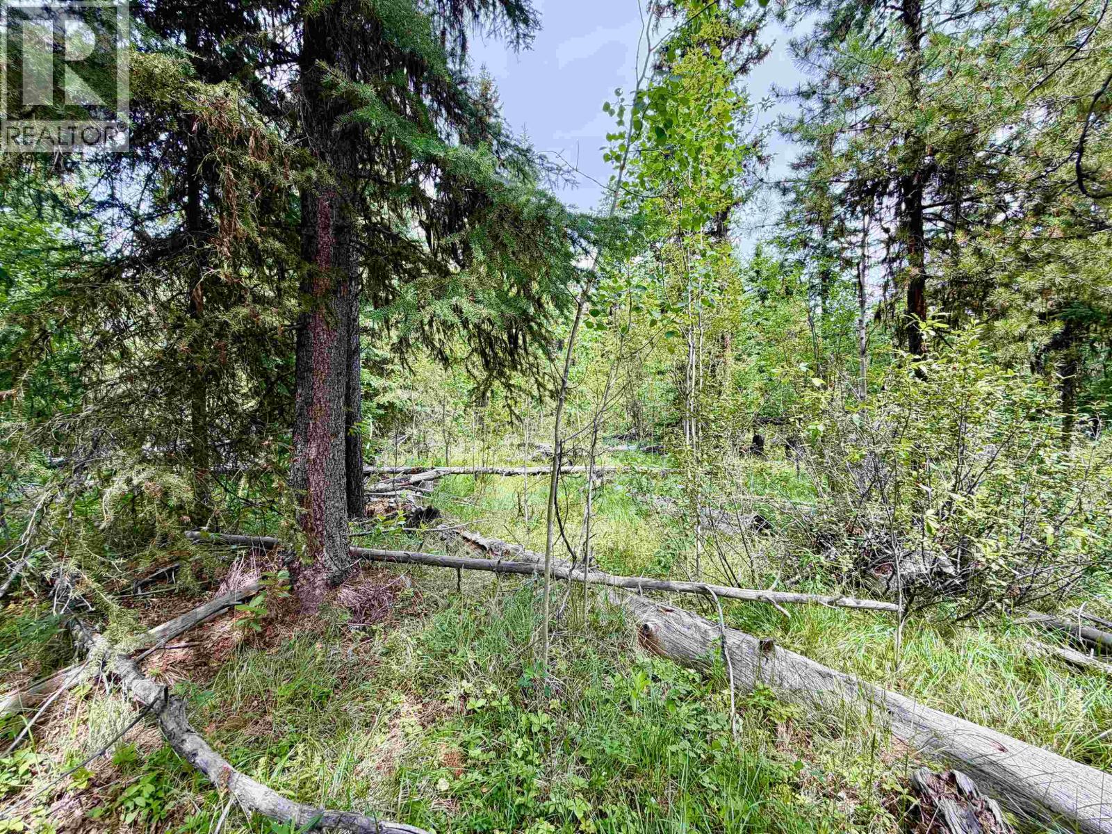 Lot 239 King Road, Deka Lake / Sulphurous / Hathaway Lakes, British Columbia  V0K 1X3 - Photo 14 - R3147397