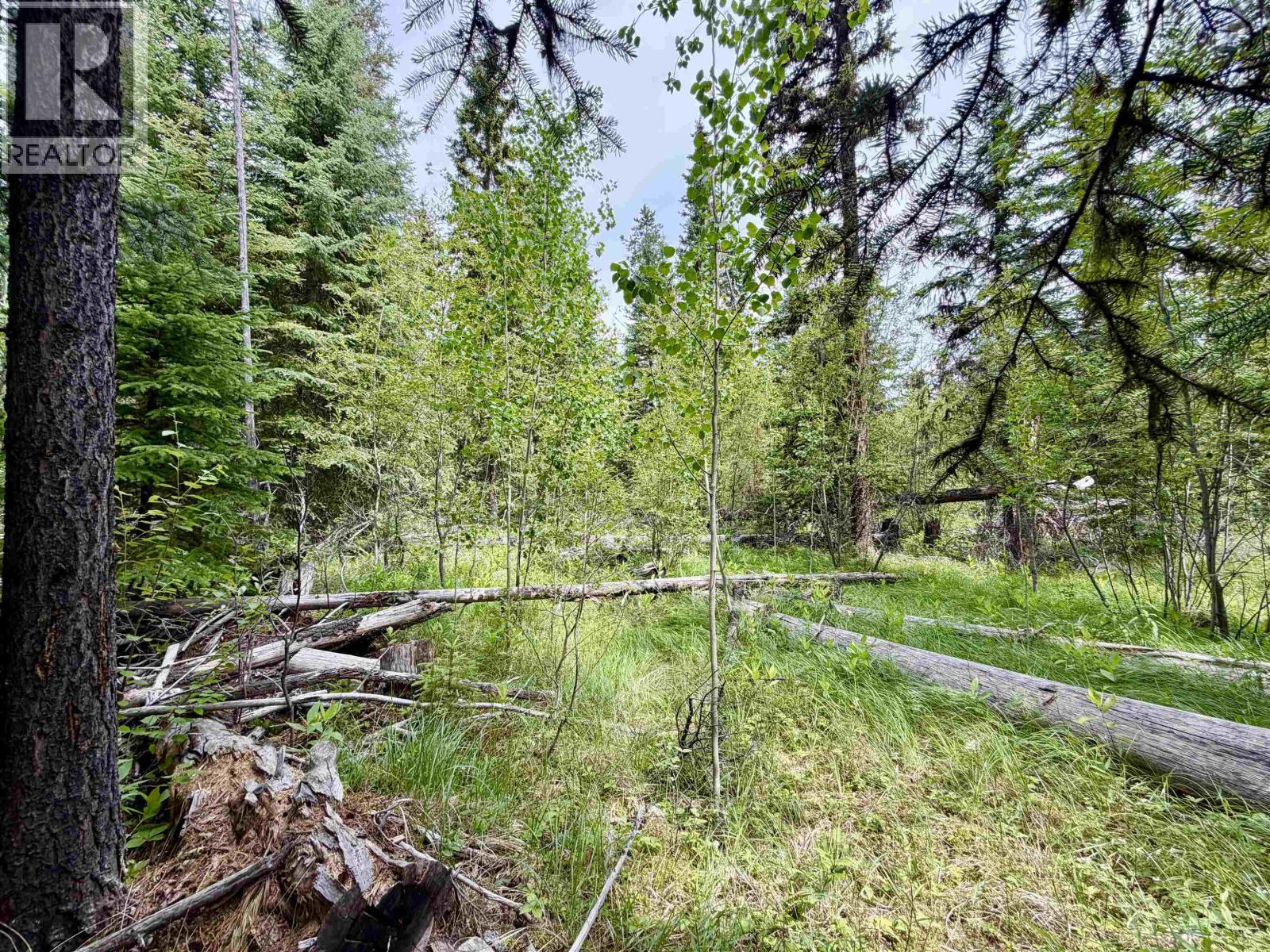Lot 239 King Road, Deka Lake / Sulphurous / Hathaway Lakes, British Columbia  V0K 1X3 - Photo 4 - R3147397