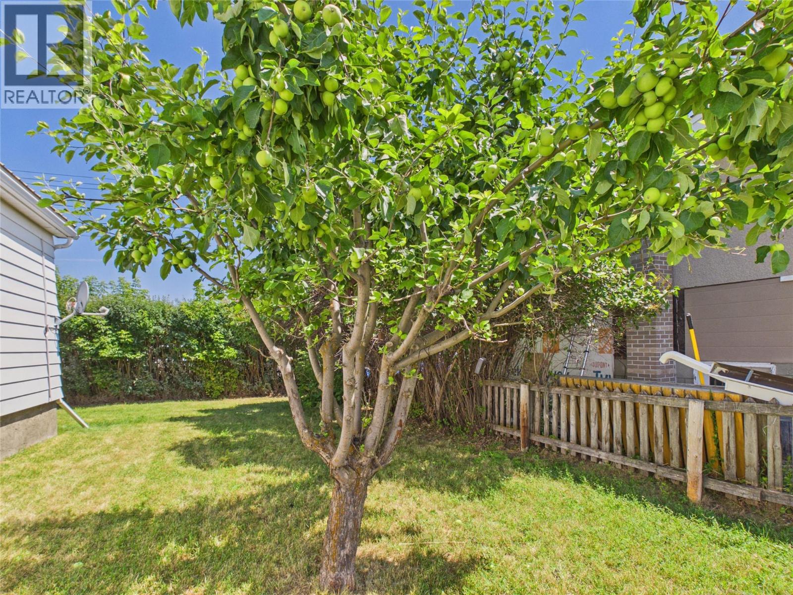 217 6th Avenue S, Cranbrook, British Columbia V1C 2H7 - Photo 28 - 10394603